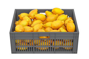 Lemons in the plastic crate, 3D rendering