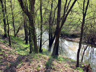 River in spring