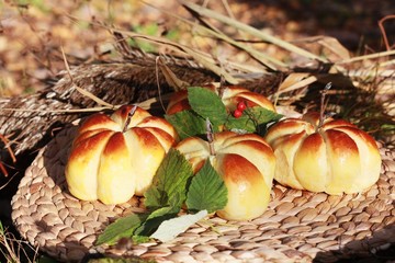 Delicious fresh bread rolls in the nature 