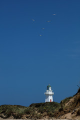 Leuchtturm in Neuseeland