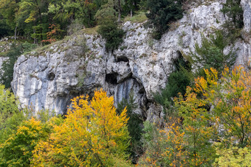 Rock formations and autumnal plants with colorful leaves at Danube breakthrough near Kelheim,...