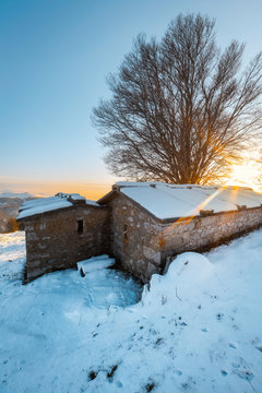lessinia