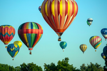 Obraz premium Magnificent Morning Light Captured with Many Balloons over the Boise Trees
