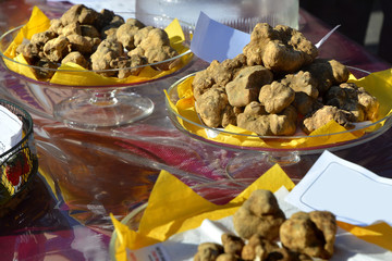 Group of white truffles.