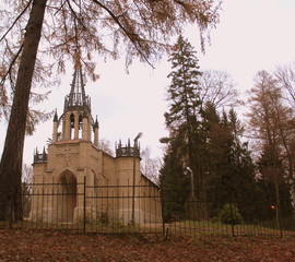 gothic cathedral in the autumn forest