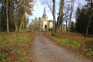 gothic cathedral in the autumn forest