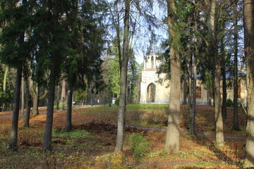 gothic cathedral in the autumn forest