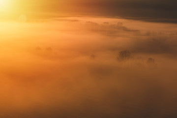 Aerial view to autumn trees in misty orange fog, Czech landscape