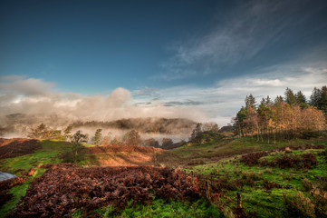 .Stunning landscape image of Tarn Hows in Lake District during beautiful Autumn Fall.
