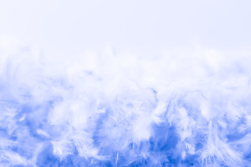 Beautiful abstract purple and blue feathers frame on white background and colorful soft white pink feather portrait frame texture