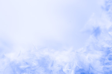 Beautiful abstract purple and blue feathers frame on white background and colorful soft white pink feather portrait frame texture