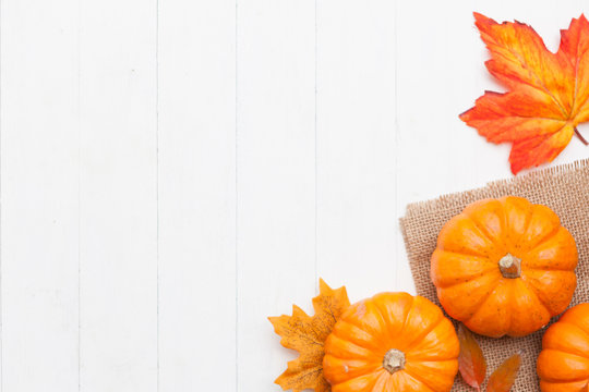 Autumn Thanksgiving Colorful Setting Background