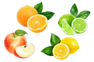 Naklejka na ściany i meble Apple orange lemon lime set composition watercolor isolated on white background