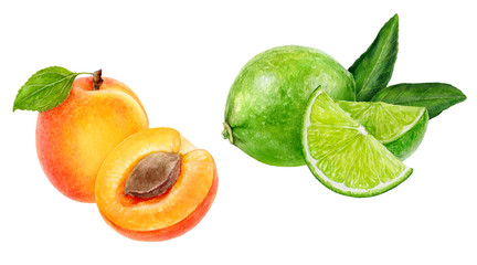 Apricot lime set composition watercolor isolated on white background
