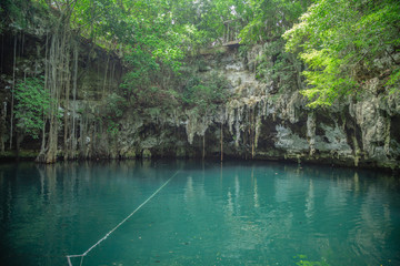 Hidden Cenote