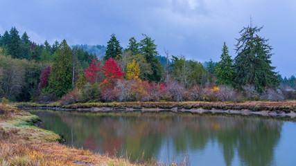 Puget Sound Autumn Colors