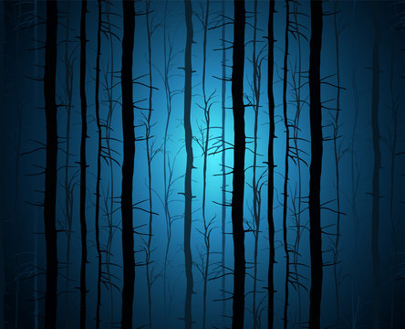 The dark forest illustration. A fantastic landscape with a mysterious blue glow. Tree trunks in blue mist.
