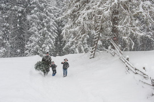 Austria, Altenmarkt-Zauchensee, father with two sons carrying Christmas tree in winter landscape