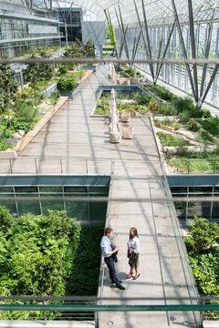 Germany, Hannover, Business people standing in greenhouse