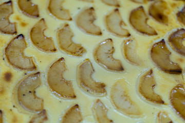apple pie 