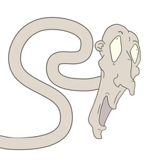 Funny face with long neck