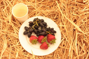 Fototapete bei efototapeten.de bestellen   