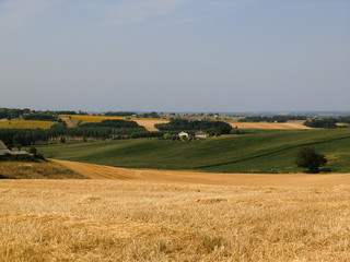 Fototapeta na wymiar Moisson des blés Lot et Garonne