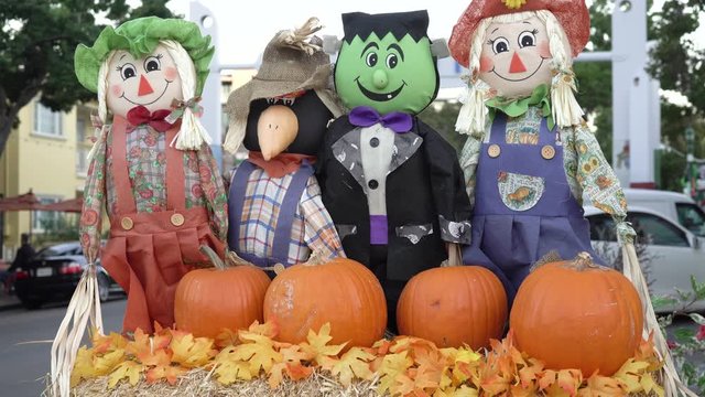 Pumpkin patch puppet decoration 4k