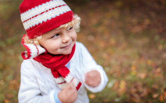 Portrait of blond little boy wearing fashionable knit wear in autumn