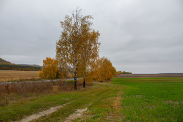 Obraz premium Beautiful autumn landscape