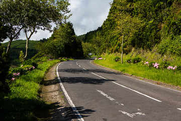 Beautiful landscape sceneries in Azores Portugal. Tropical nature in Sao Miguel Island, Azores. 