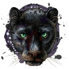 Panther. Artistic, sketchy, color portrait of a panther head on a white background in watercolor style.