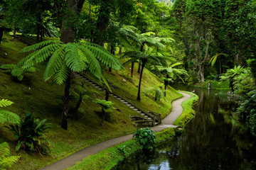 Beautiful landscape sceneries in Azores Portugal. Tropical nature in Sao Miguel Island, Azores. 