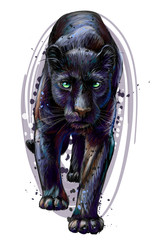 Panther. Artistic, sketchy, color portrait of a walking panther on a white background in watercolor style.
