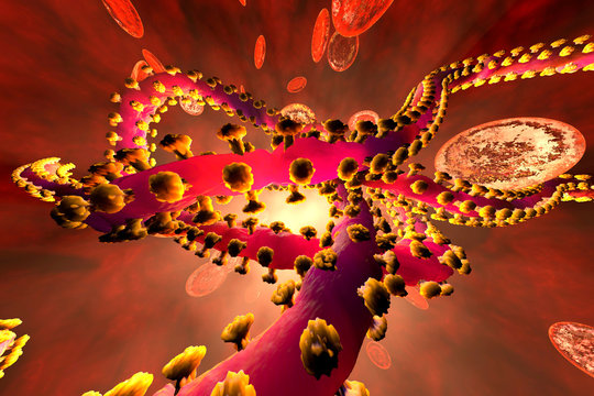 3D rendered Illustration of an ebola virus in the blood stream, surrounded by red blood cells