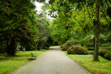 Beautiful landscape sceneries in Azores Portugal. Tropical nature in Sao Miguel Island, Azores. 