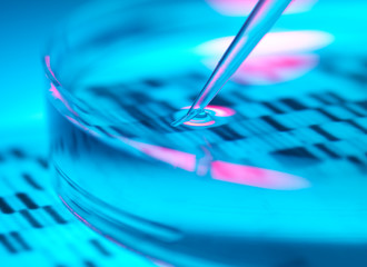 Pipetting DNA sample into a petri dish in the lab