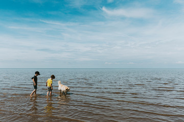 Two brothers and dog paddling in ocean against a cloudy sky