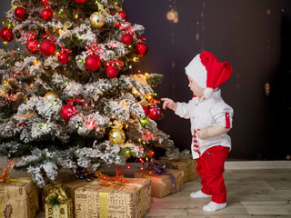 Happy little santa decorates the Christmas tree in a festive interior