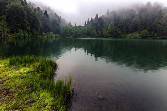 Misty Dark Lake
