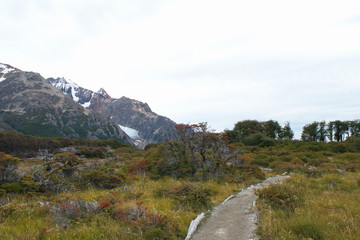 The path to the Laguna De los Tres and mountain Fitz Roy, Patagonia, Argentina