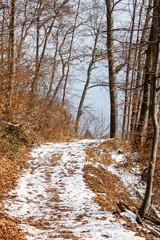 Snow Covered Footpath.  A snow covered footpath on Kapuzinerberg, a hill in Salzburg, Austria.