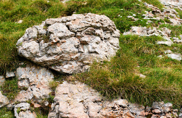 Big stone on the green grass