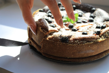 Slices of cake with cheese