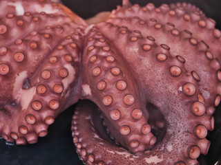 Fototapeta premium pulpo cocido