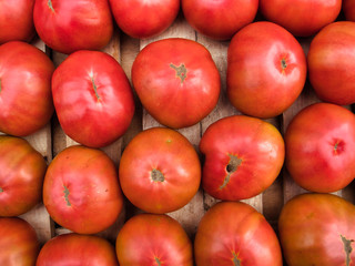 Tomate ensalada