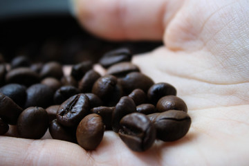Coffee beans are roasted in a pan