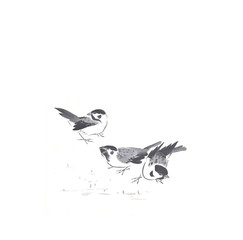 墨絵日本の風景スズメの兄弟食事
