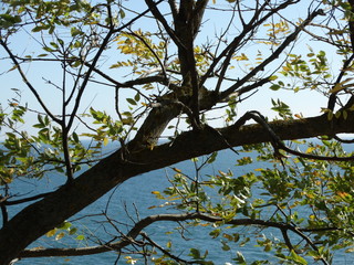 Obraz premium Autumn ... sea