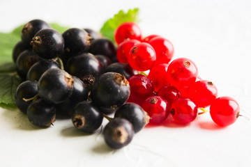 Natural fresh healthy red and black currant. Closeup view. Selective focus